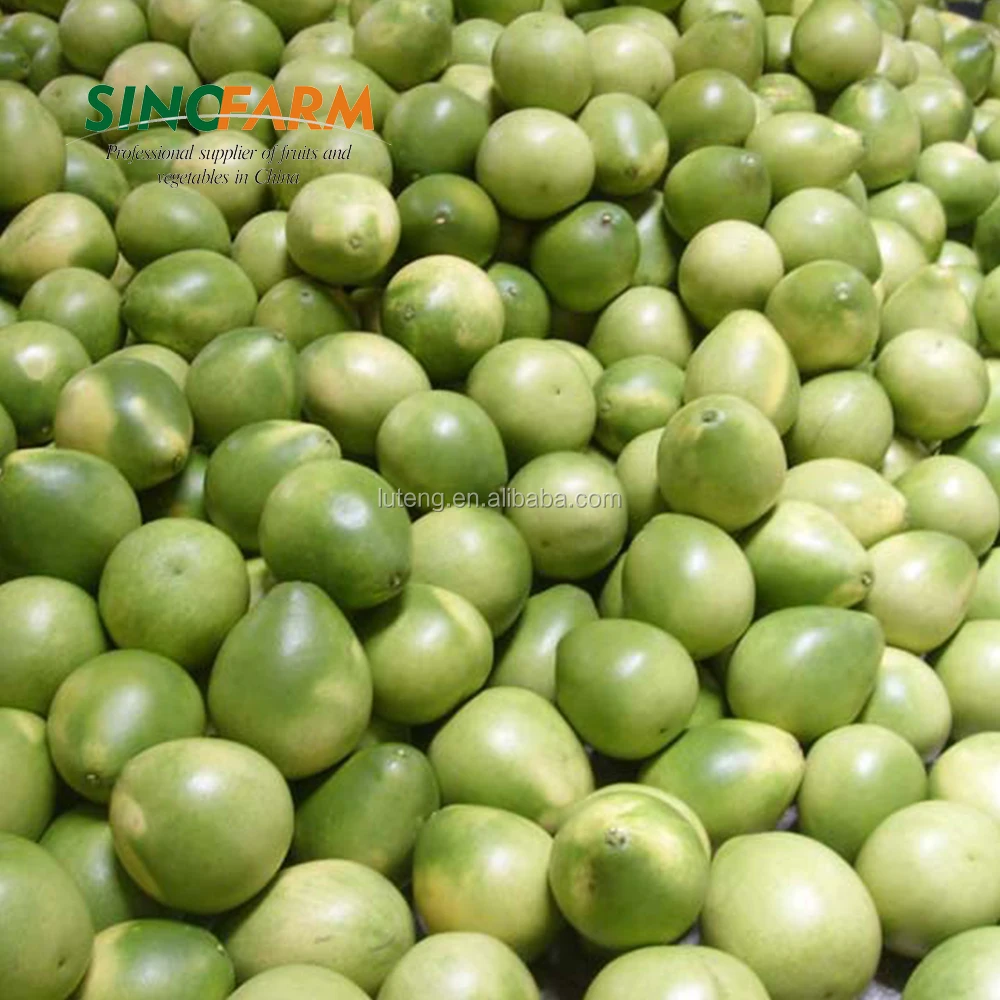 New crop Honey pomelo to Russia