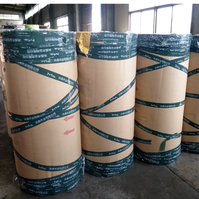 Carton sealing bopp tape jumbo rolls factory/bopp log roll manufacturer