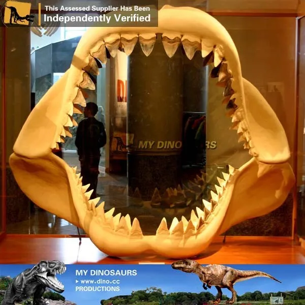 My Dino Fiberglass Fossil Shark Teeth for Museum