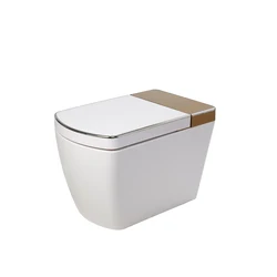 Chinese toilet factory wc automatic smart electronic toilet