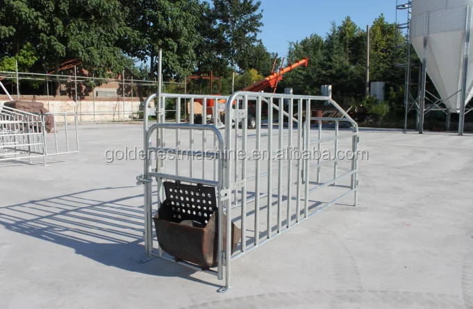 China High Quality Pig farrowing Crate, Breeding and Gestation Stalls, Nursery Penning