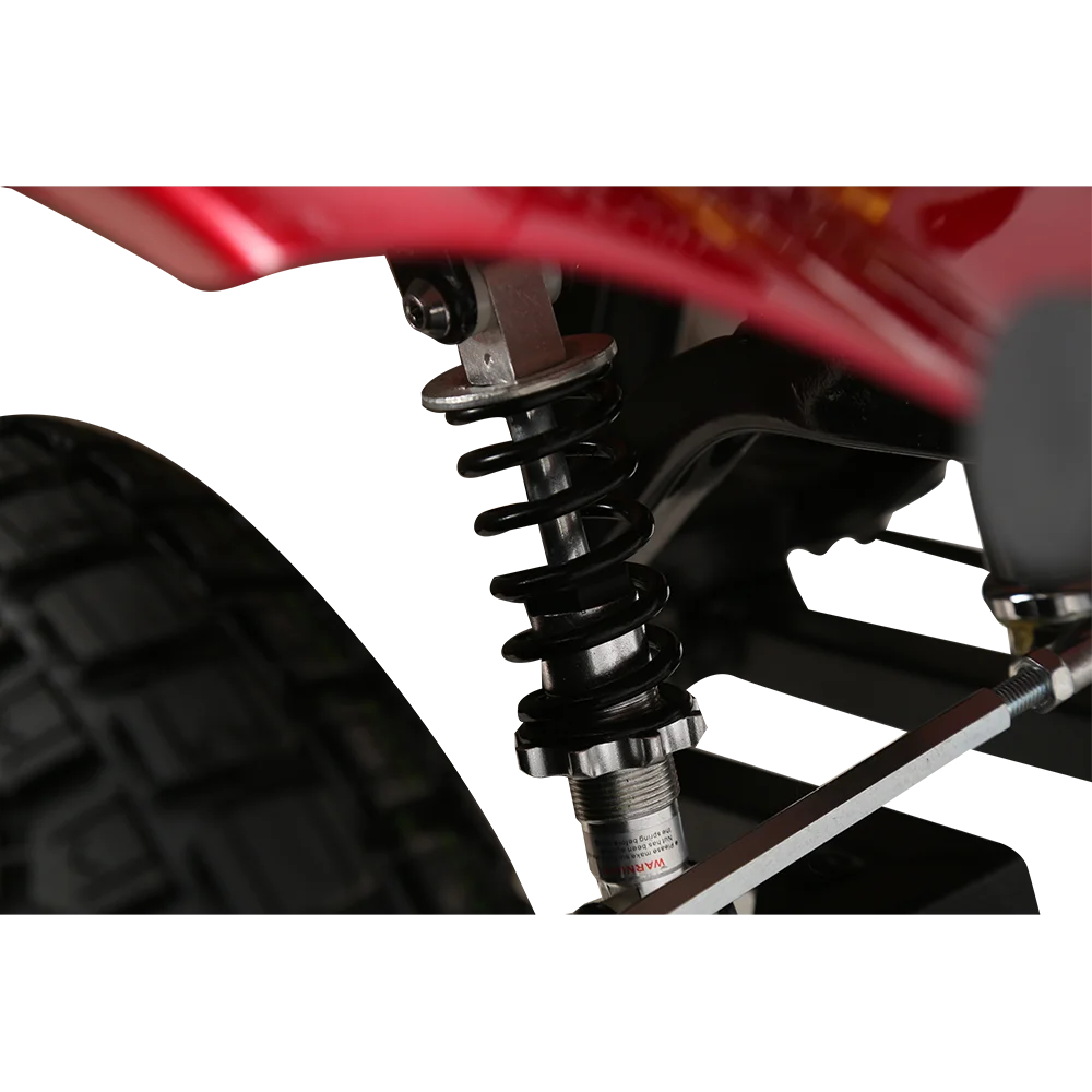 Citygreen double seat electric mobility scooter for handicapped