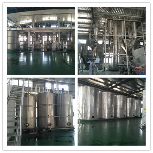 300Mesh 600Mesh high quality food flavour rice protein for dairy food