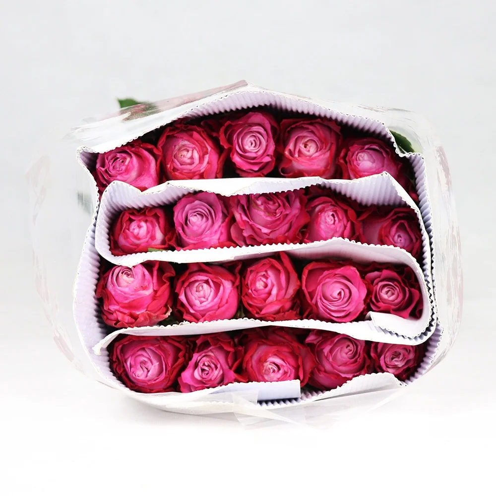 Professional Chinese Flower Supplier Various Color Fresh Cut Roses