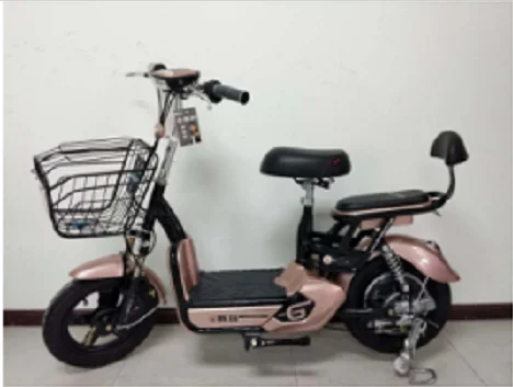China factory electric bicycle in bangladesh