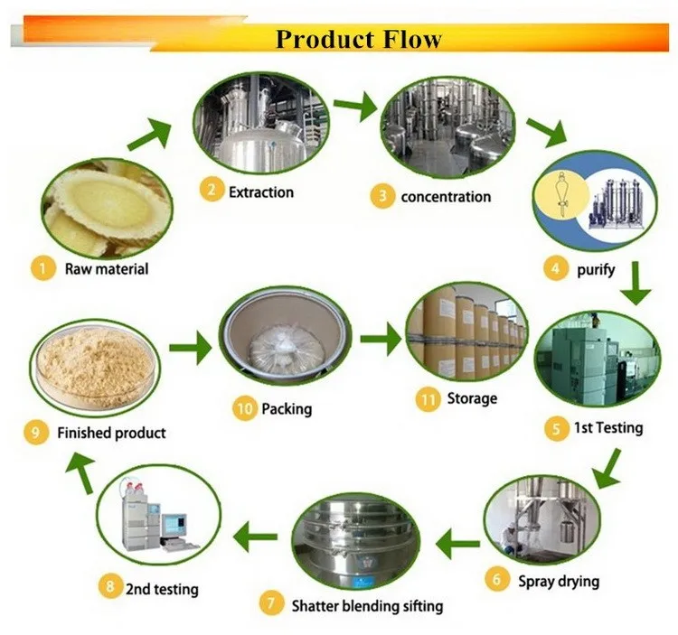 
ISO factory Astragalus Membranaceus Extract 0.3% Astragalus root extract 