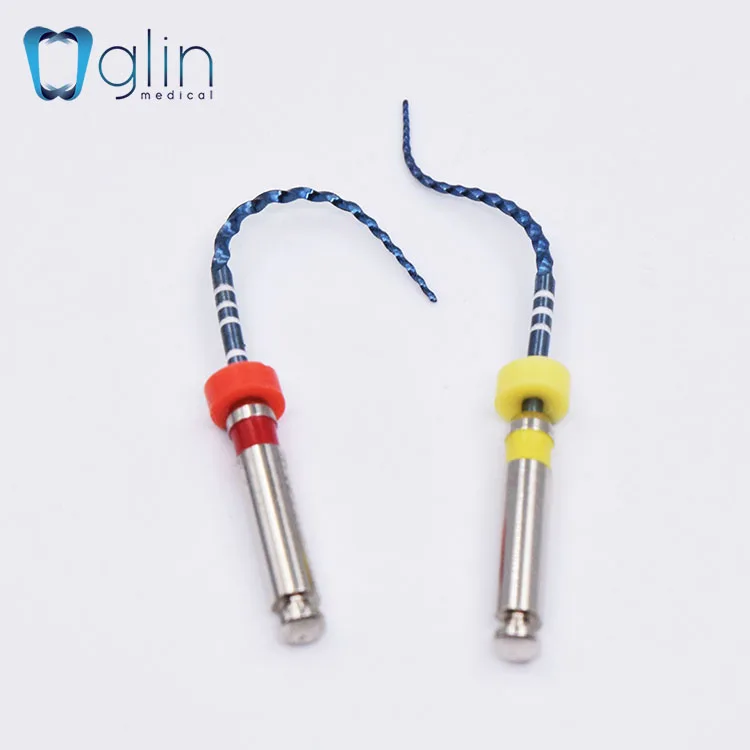 Durable GM3 Memory binco Denatl Files