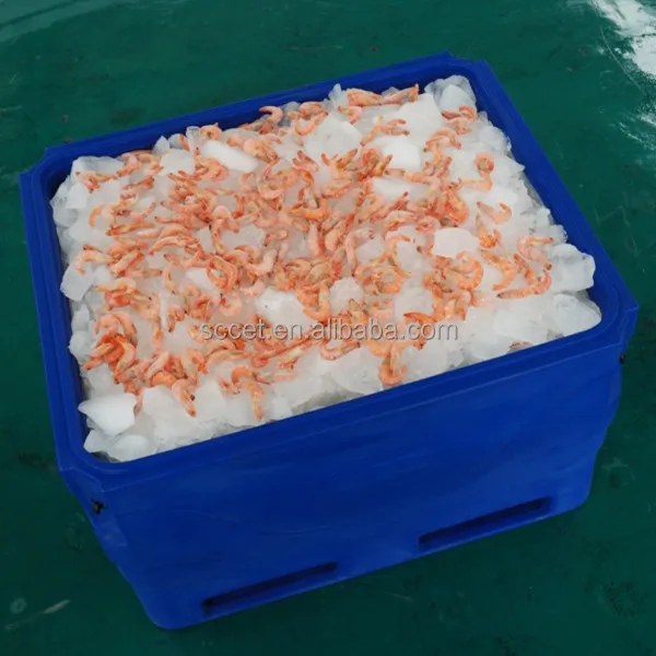 Roto-molded ice box fish bin fish storage ice chest large cooler for fish
