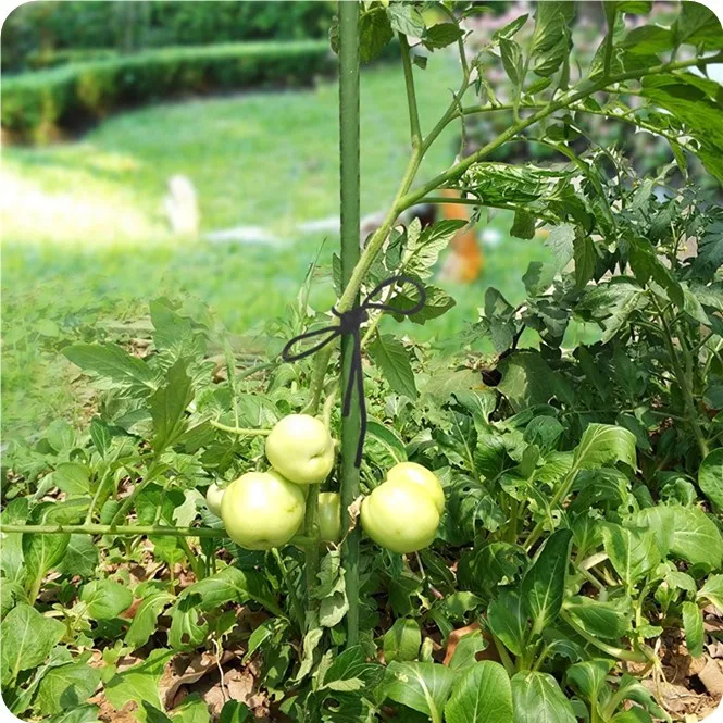 Plant support stakes for garden