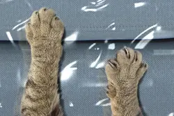 Thick clear water proof sofa cover for long term storage anti-dust, tear resistant