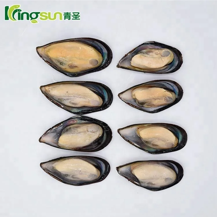 Frozen half shell mussel