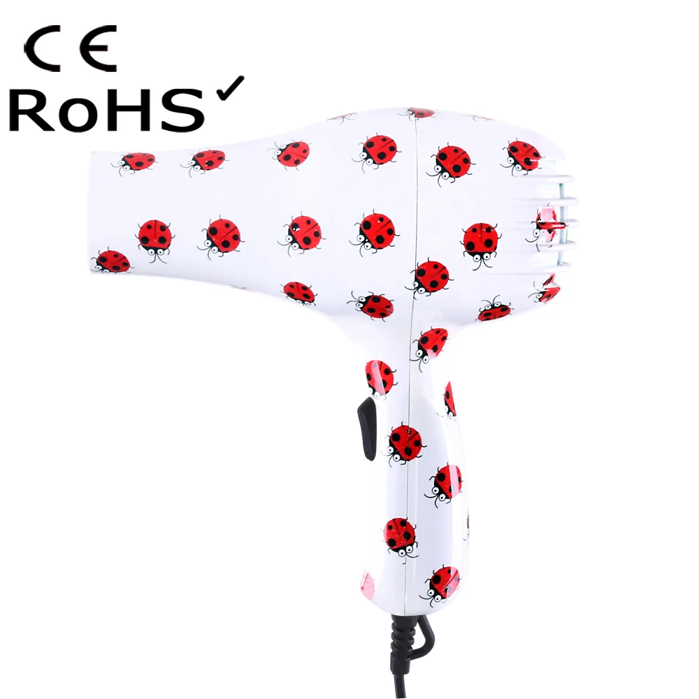 Hot Selling Printing Electric Portable Hair Dryer