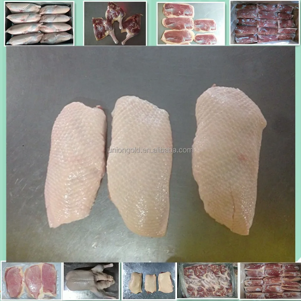 Best quality frozen duck meat