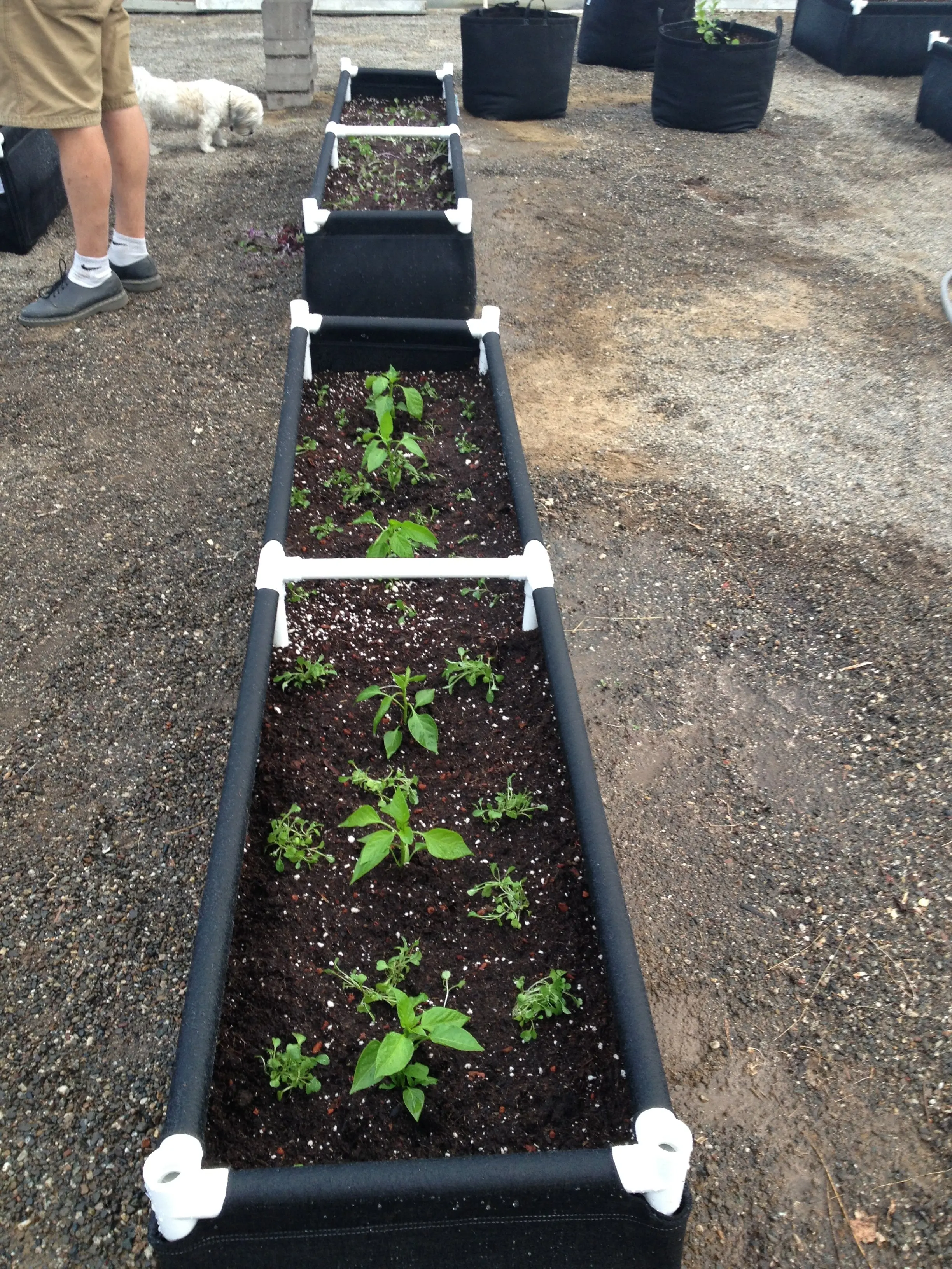 Flower planting  garden bed garden  raised bed garden bed outdoor