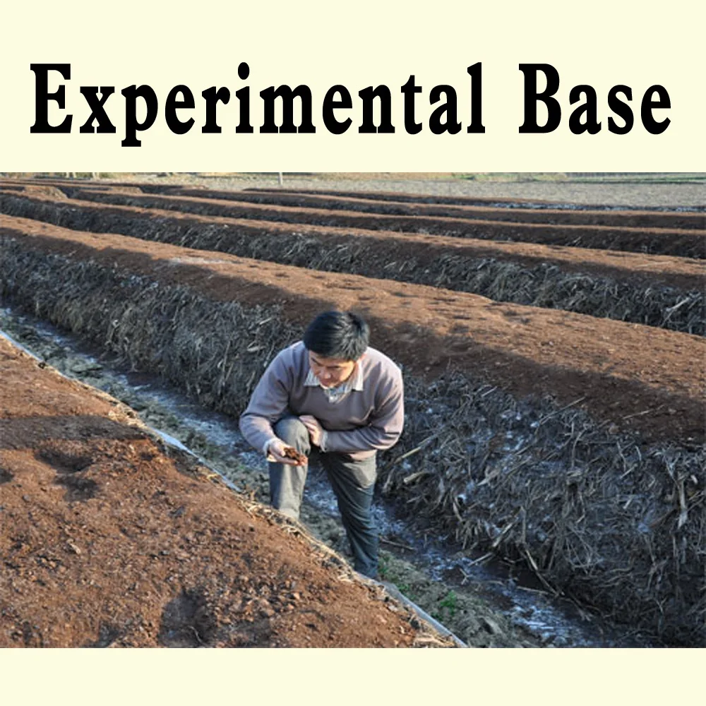 A-F3 компост стартер в аэробных микроорганизмов