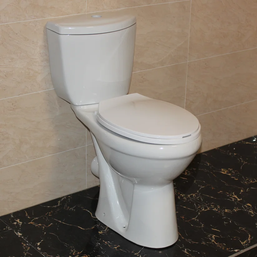 China Sanitary Ware Ceramic Disabled Toilet