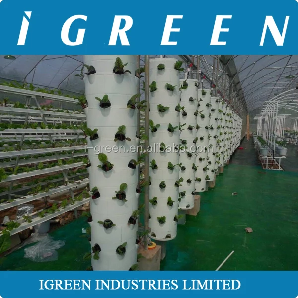 Commercial NFT hydroponics system