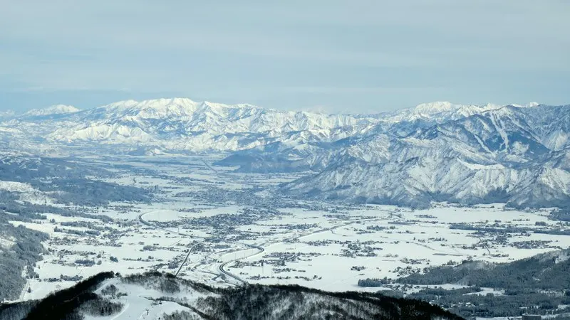 
Japanese high quality white rice brands price for wholesale 