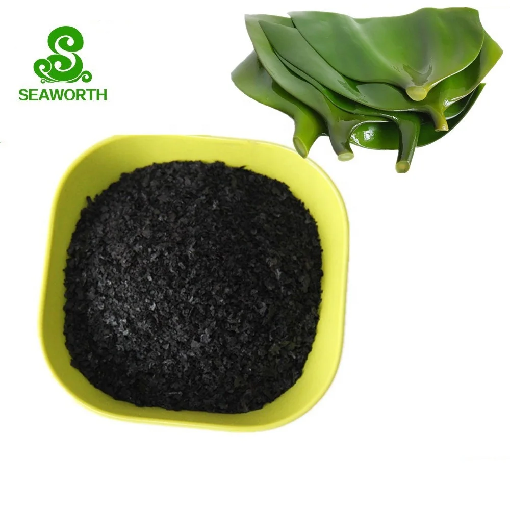 Super quality wholesale organic kelp fertilizer factory price