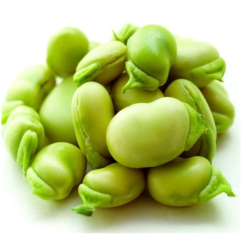 
Wholesale grade best organic frozen peeled broad bean 