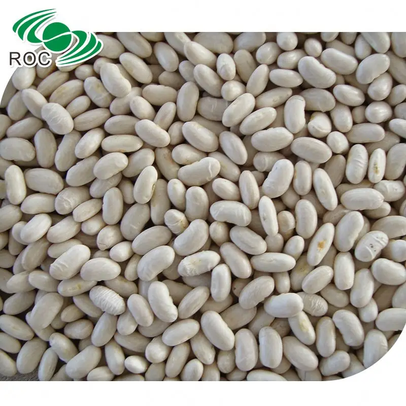 big size dried yunnan white kidney bean