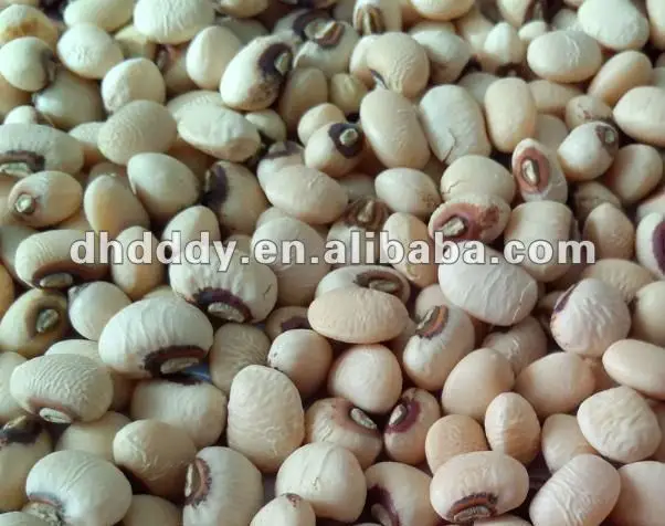 black eye kidney bean