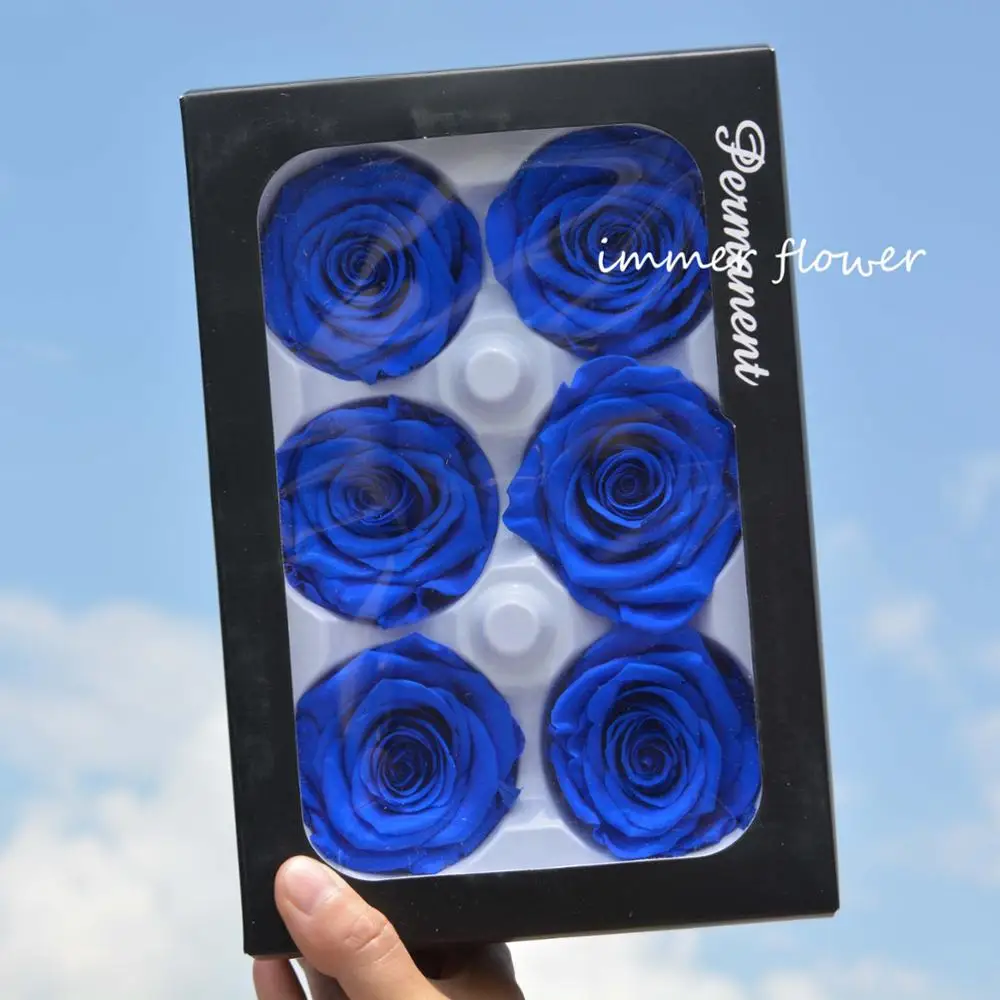 Real ecuador preserve rose fresh cut flower eternal rose from Yunnan Sennka