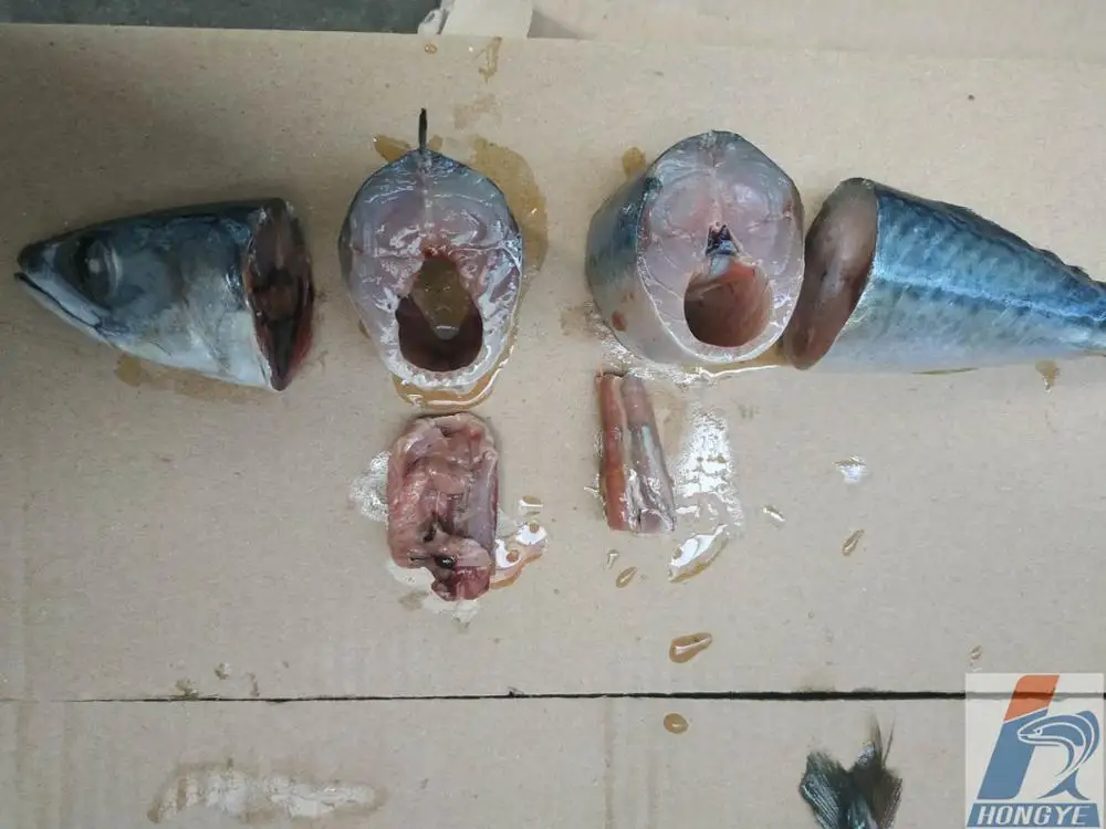 Frozen Pacific Mackerel fish whole round seafrozen BQF 150-200g for market