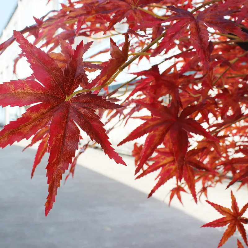 Real wood artificial maple tree with fabric leaves interior decoration bonsai trees for sale