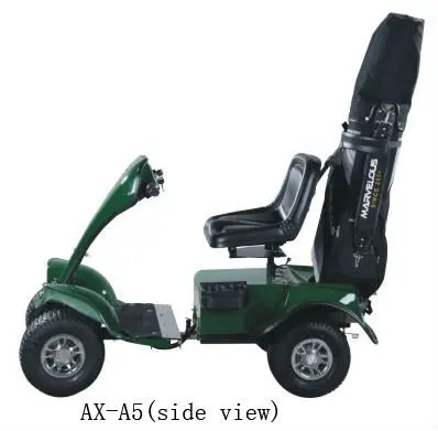 2 seater mini electric golf cart with curtis controller (AX-A4) and CE approval