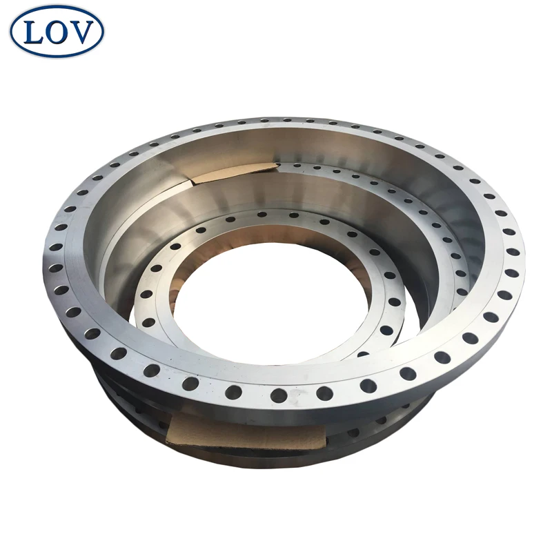 DIN 2577 Forged Stainless Steel Pipe Plate Flat Flange