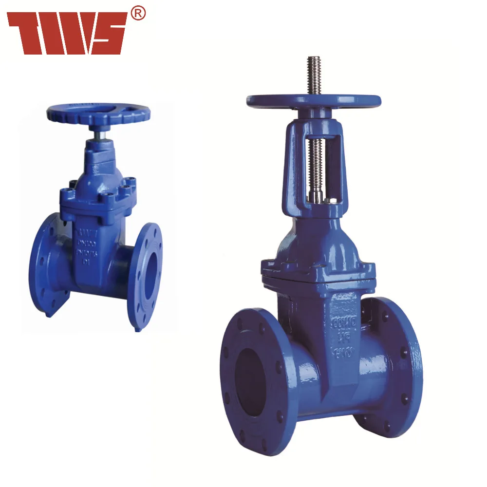 DN300 Non-rising Stem Gate Valve