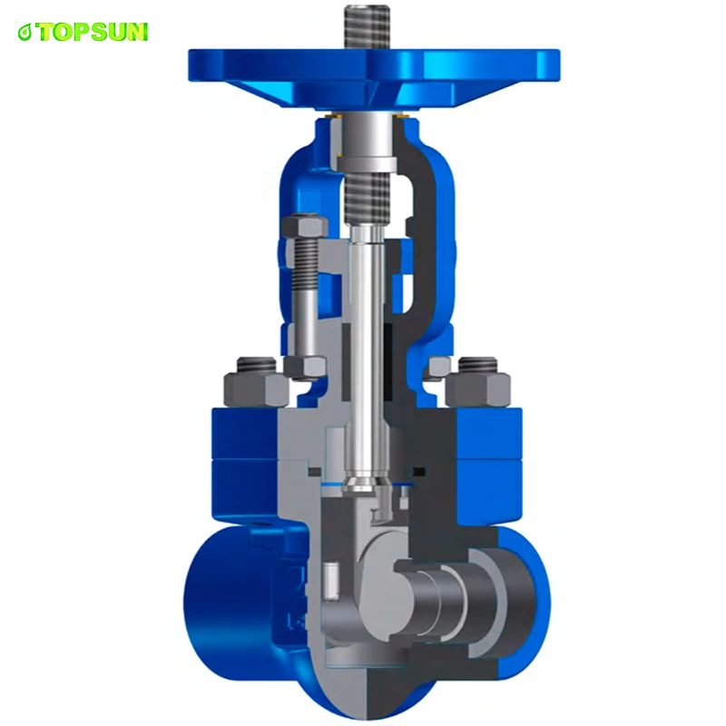 easy ordering Soft Seal dci gate valve Drilling To Iso 7005 Din2501 DN50 Dt pressure rating