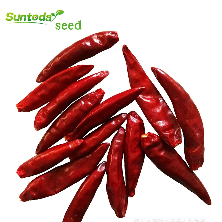 
Asian high yield vegetable plant red dry pepper chilli seeds 100g/bag 
