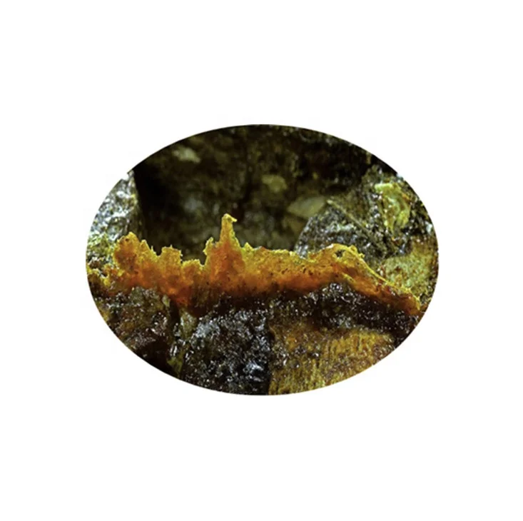 Высококачественный чистый натуральный порошок экстракта прополиса для пищевых добавок