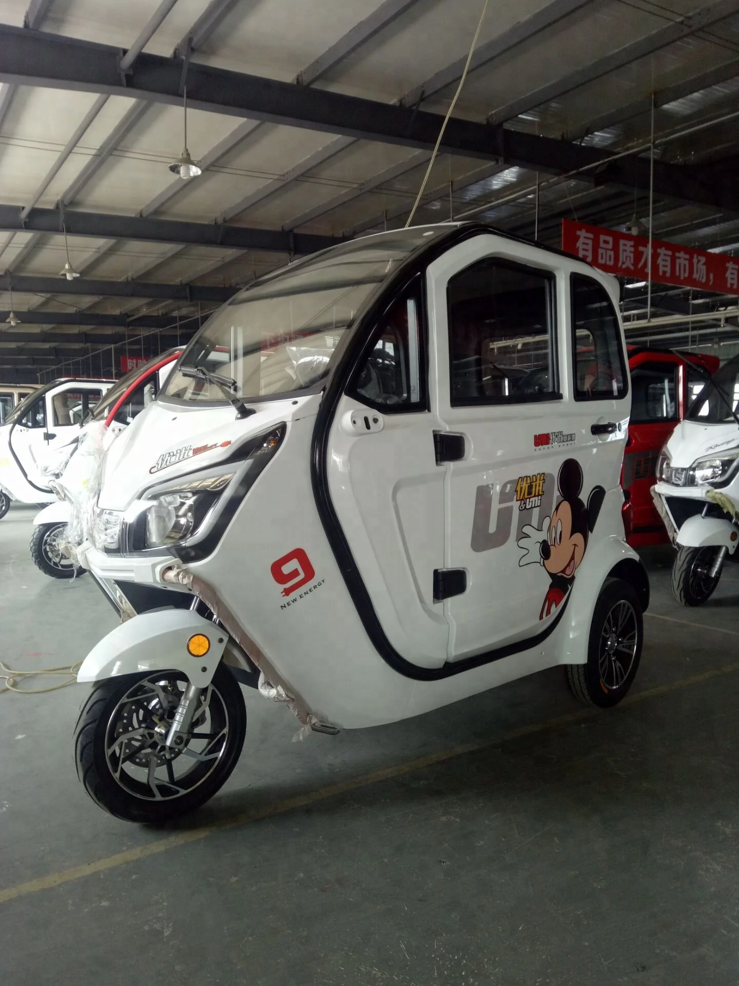 EEC Certified Electric 3 Wheel Full Closed Mobility Scooter With Passenger Seats, Luxury Electric New Energy Automobile Vehicle