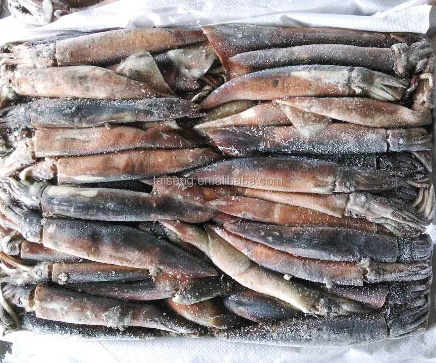 Frozen Illex Squid Under 100g