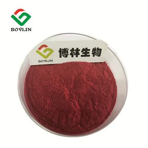 
Natural Organic Red Wine Extract Powder Polyphenols with Wholesale Price 