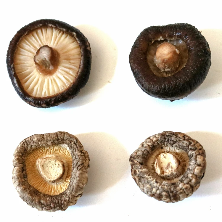 
dried organic shiitake flower mushroom price 