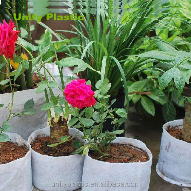 Growbags for tomatoes pot plant bags plastic bag plant pots