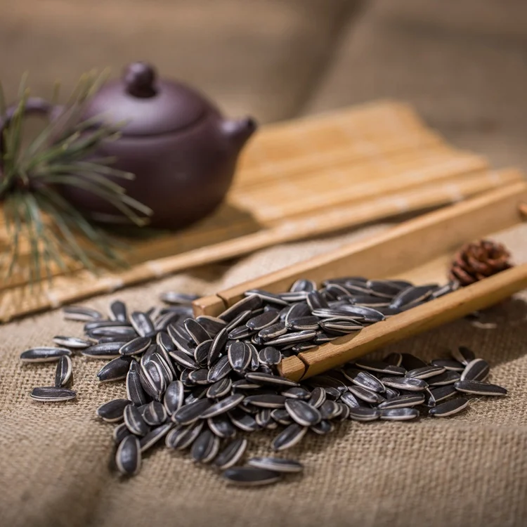 Hot Sale sunflower seeds turkey chacha sunflower seeds