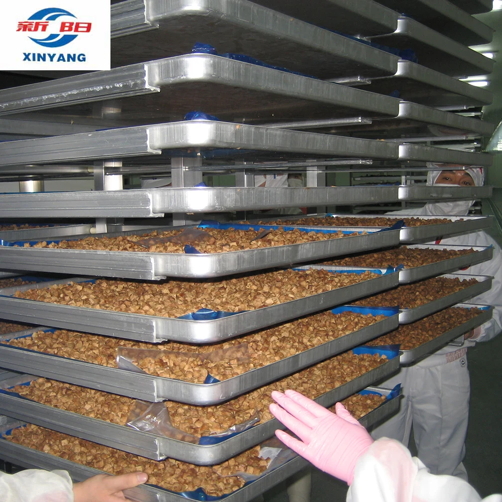 Xinyang fruit freeze dryer manufacture for freeze drying machine vacuum lyophilizer for sale