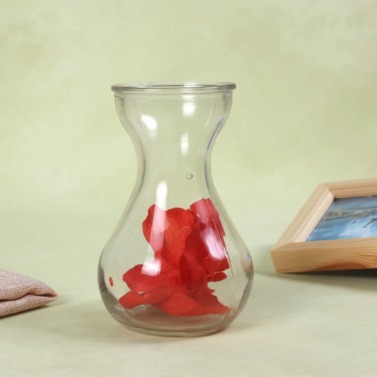 Hydroponic Vase, Home Modern Glass Flower Vase, Hyacinth Vase colorful