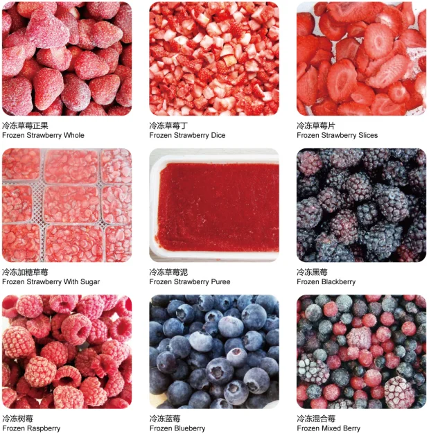 
New Season Frozen Strawberry 