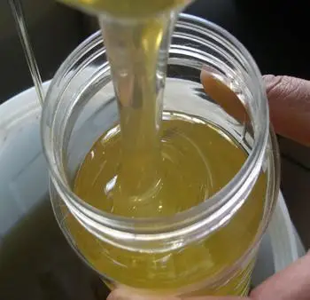 organic raw honey