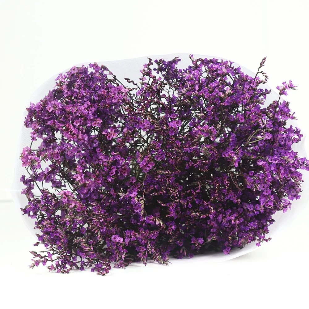 Preserved Everlasting Caspea Limonium  Multi-color For Portable Stage Decoration Backdrop Design lavender flowers dried