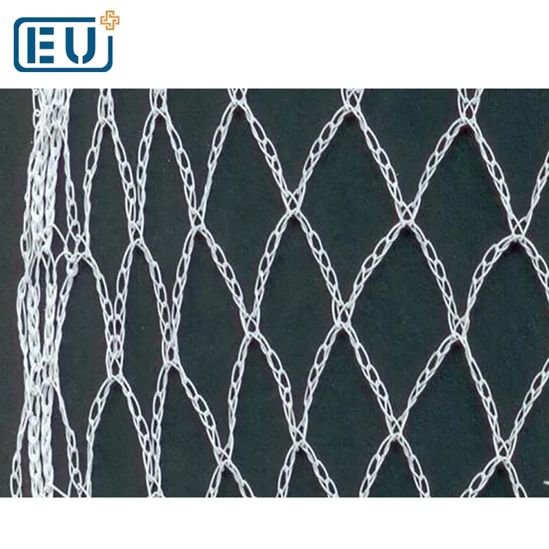 
Against Anti Aviary Pheasant Pigeon Crop Net Mist Wire Garden Screen Mesh Netting for Birds Plant Strawberry Tree Protection 