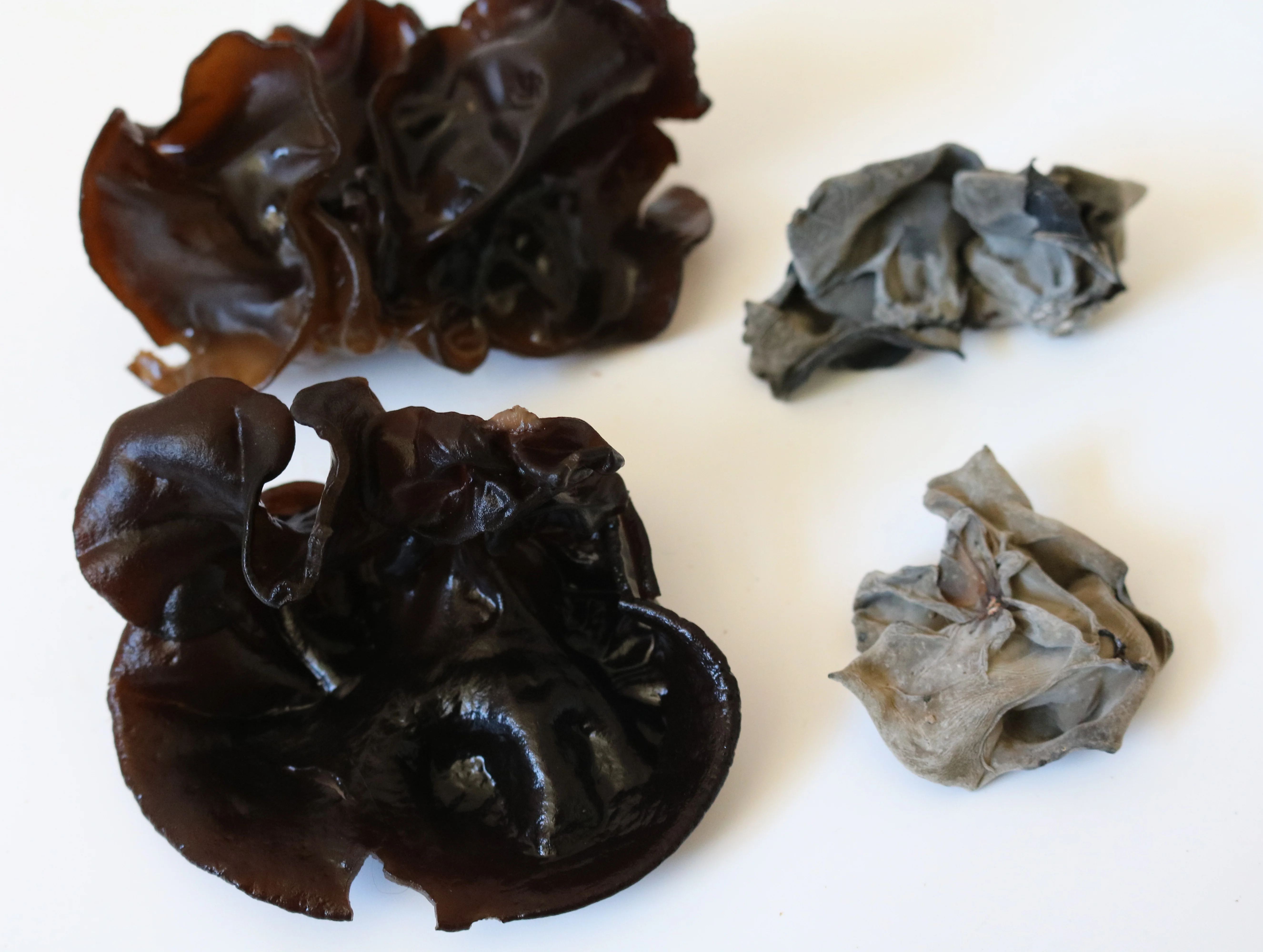 
Wild dried agaric from Auricularia auricula organicdried agaric 