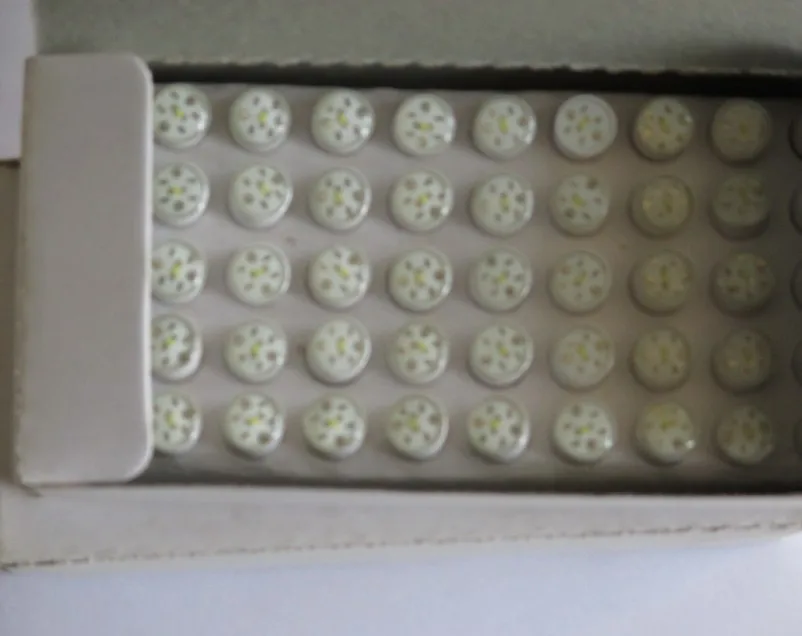 High brightness 10mm White LEDS ba9s 220V 110V 24V 12V LED