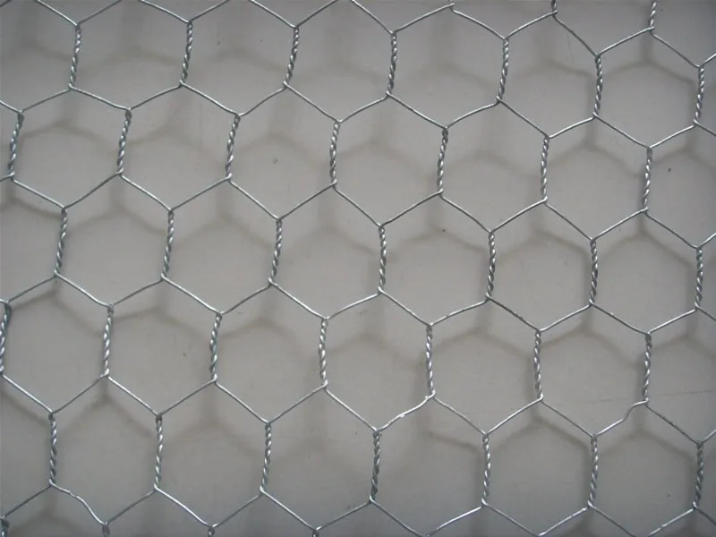 China supplier Galvanized Hexagonal Wire Mesh/Hexagonal metal mesh/anping hexagonal mesh